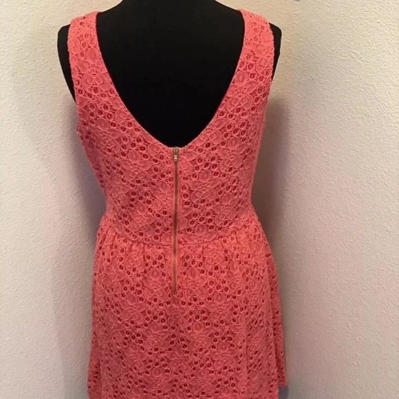 THE LIMITED CORAL LACE DRESS A LINE SLEEVELESS SIZE 10 - Picture 3 of 5